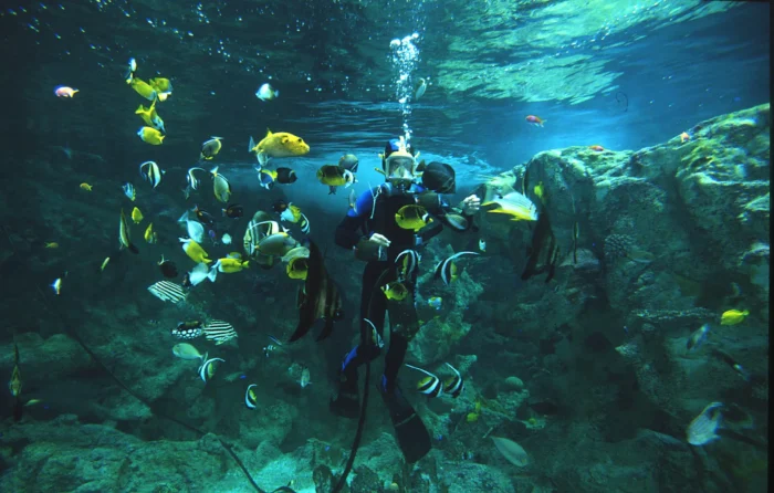 Oceanopolis Oceanopolis