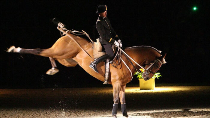 Le Cadre Noir de Saumur Le Cadre Noir de Saumur