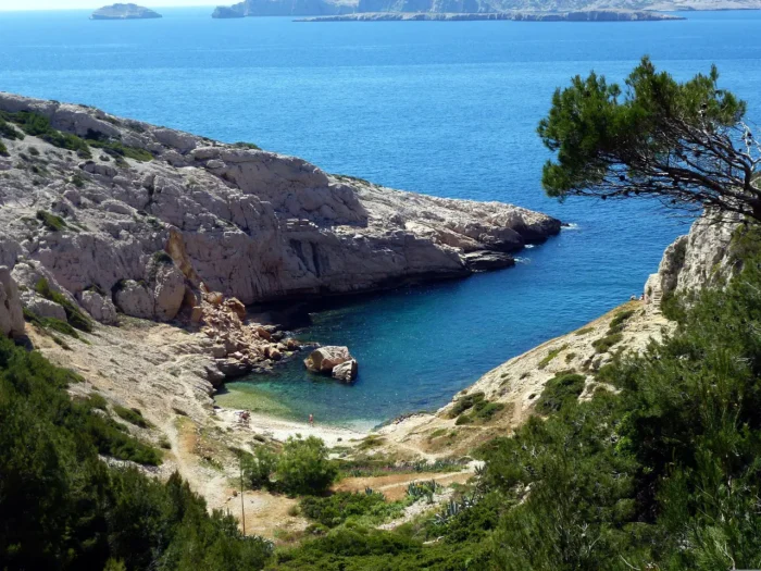 Plage dans les Calanques Plage dans les Calanques