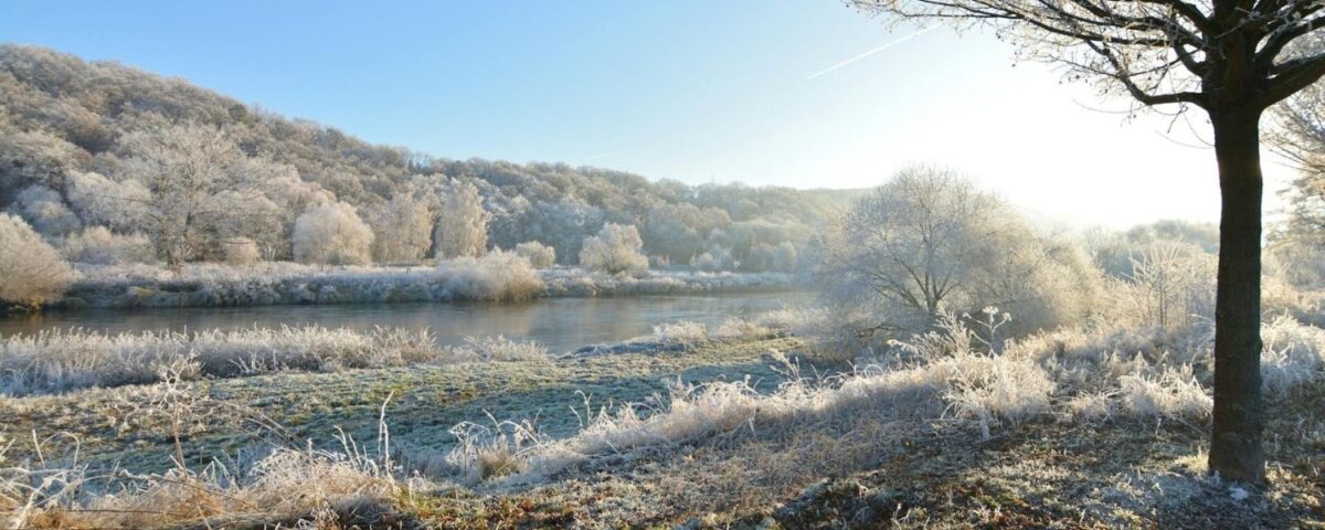 Paysage d'hiver
