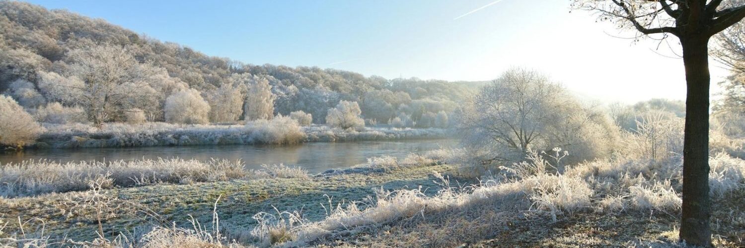 Paysage d'hiver