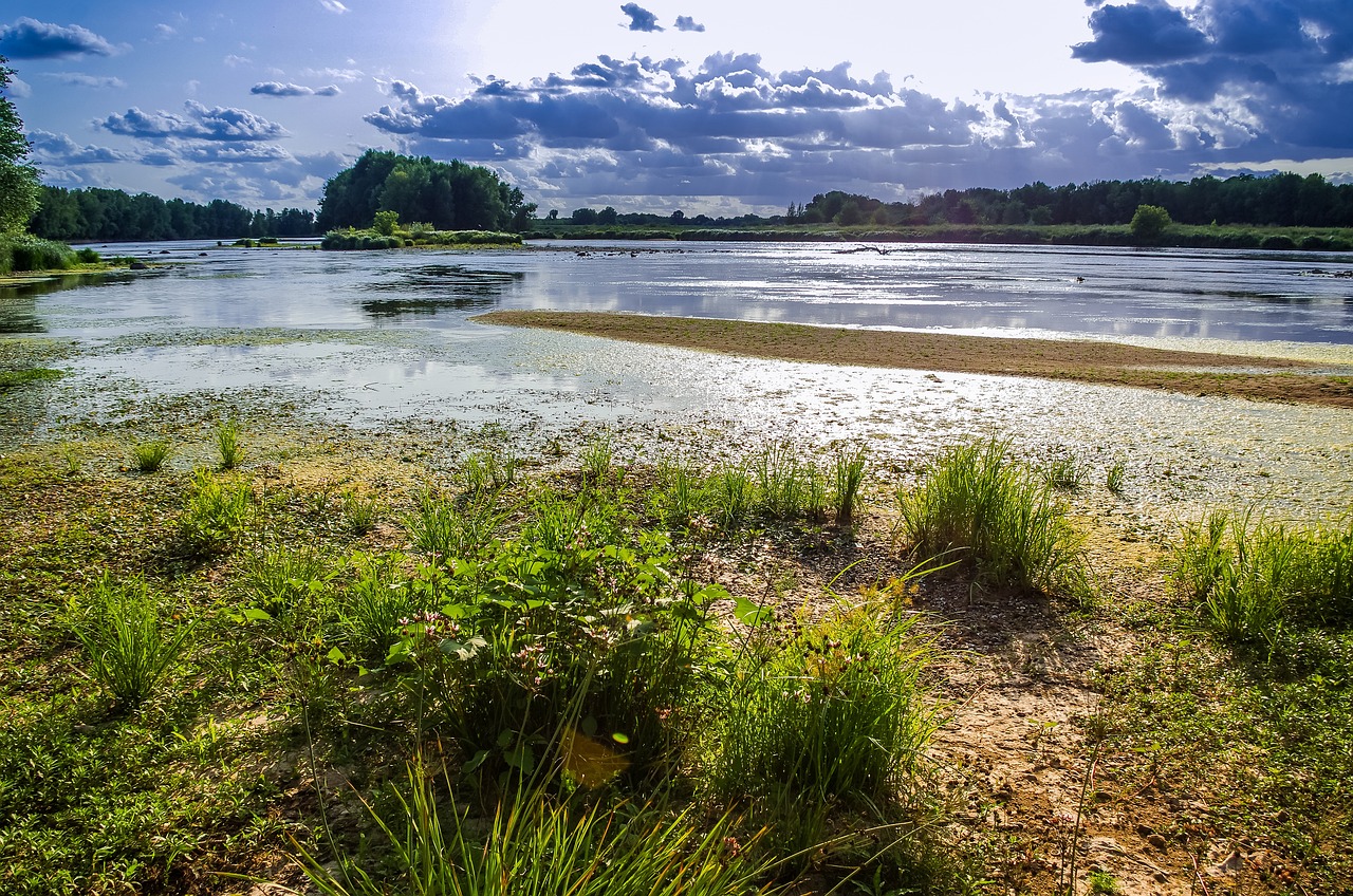 Séjour en Maine-et-Loire (49) : vallée de la Loire, nature douce et patrimoine vivant