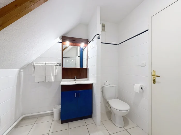 Studio 3 pers. - La salle de bain Studio 3 pers. - La salle de bain