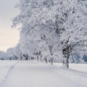 Vos vacances en Hiver
