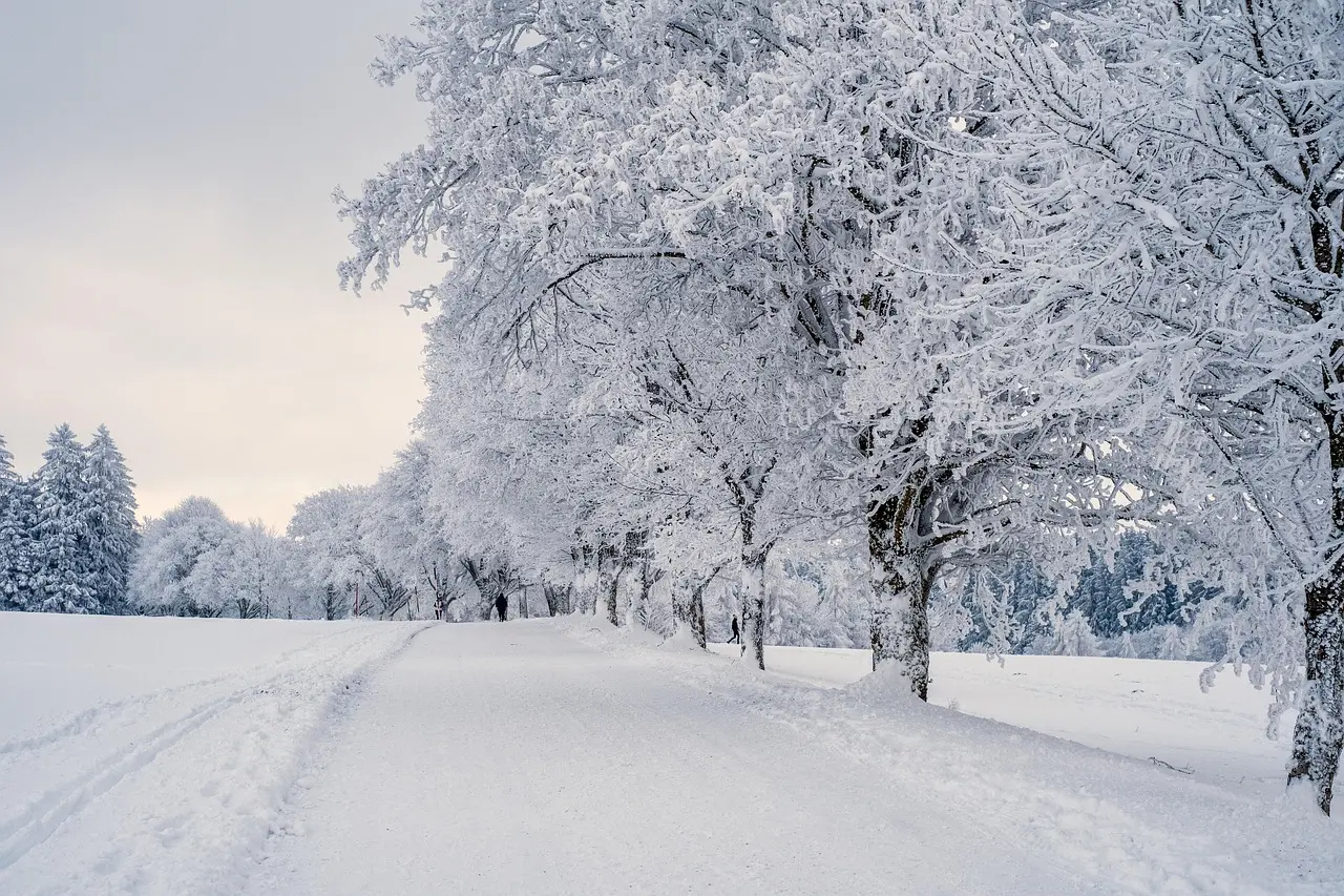 Vos vacances en Hiver