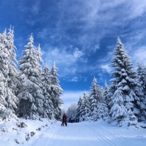 Vos vacances au ski