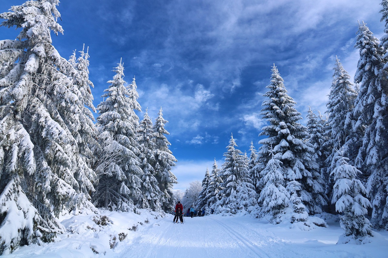 Vos vacances au ski