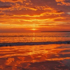 soleil été