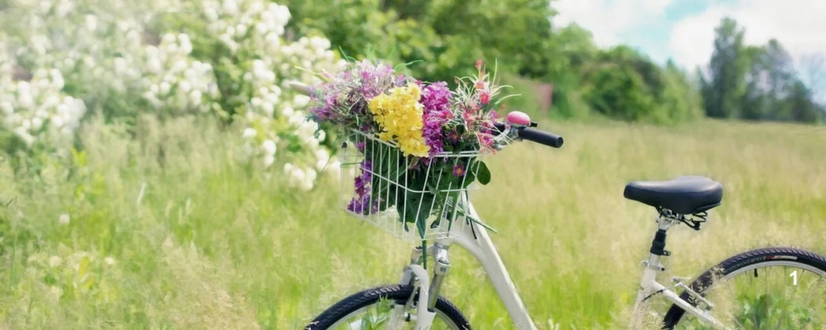 Vélo rempli d'un bouquet de fleurs dans les champs