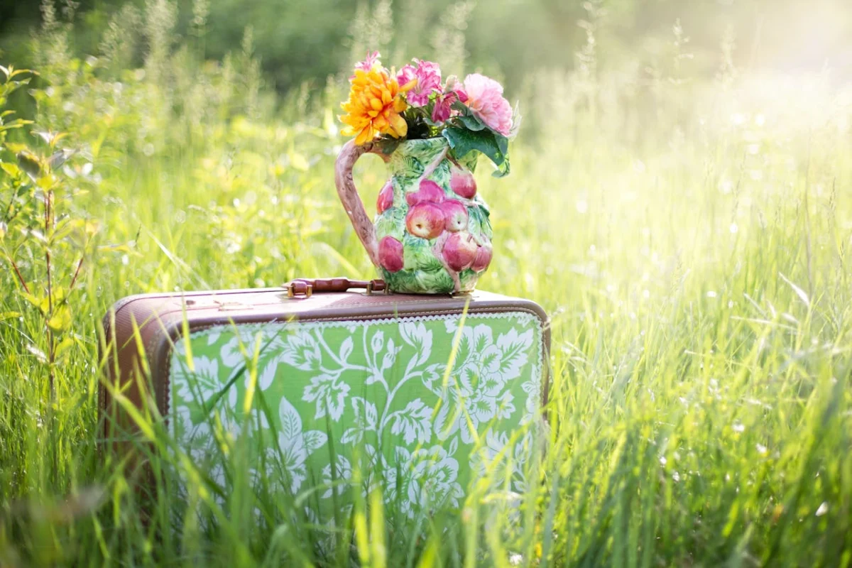 Offre spéciale "L'été avant l'heure"