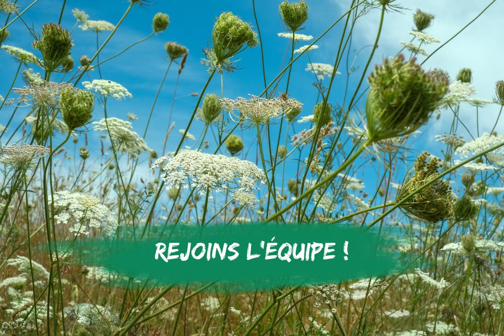 Équipe du Groupe Terres de France illustrant la diversité et l’inclusion dans le recrutement, l’égalité professionnelle et l’emploi local