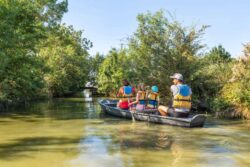 Location maison Marais Poitevin – séjour nature en famille Location de maison de vacances dans le Marais Poitevin – séjour nature en Venise Verte