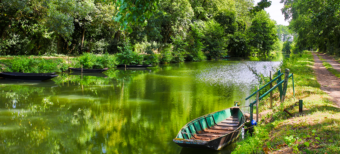 Holiday rentals Marais Poitevin – nature cottages and residences Holiday rentals in the Marais Poitevin – cottages and residences by Terres de France