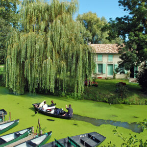 Partir en vacances dans le Marais Poitevin – balades en barque, vélo et nature préservée