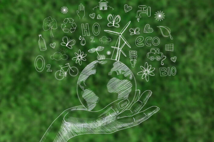 Séjour éco-responsable en France avec Terres de France : hébergements durables, nature et respect de l’environnement