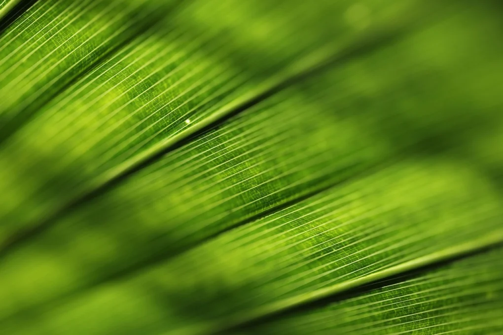 S’abonner à la newsletter Terres de France pour recevoir offres et inspirations de séjours nature