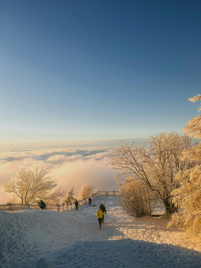 Marche paysage enneigé Alpes près d'Allevard-les-Bains