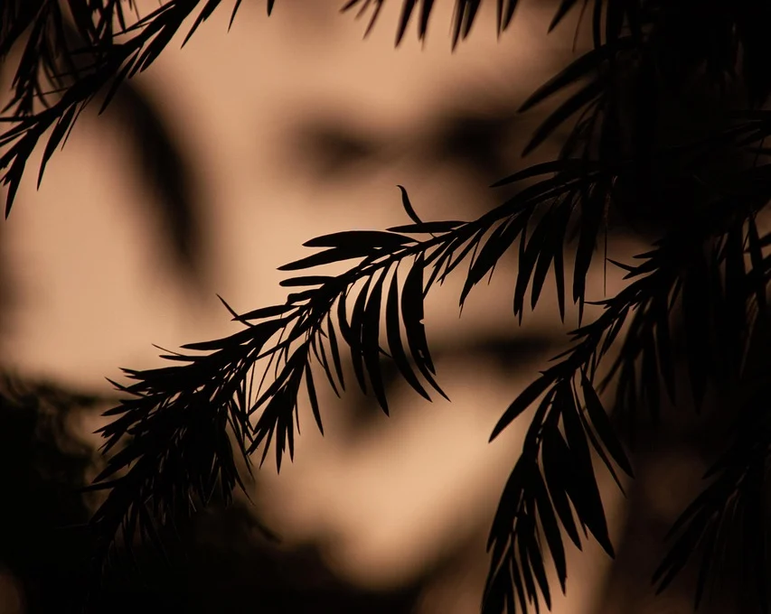 Engagements durables Terres de France : tourisme nature, respect de l’environnement et ancrage local