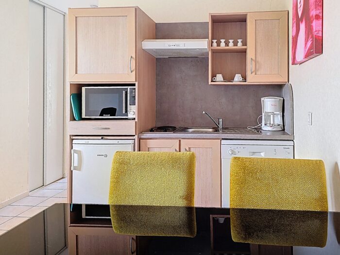 Domaine du Val d'Amboise - Le coin cuisine des studios Domaine du Val d'Amboise - Le coin cuisine des studios