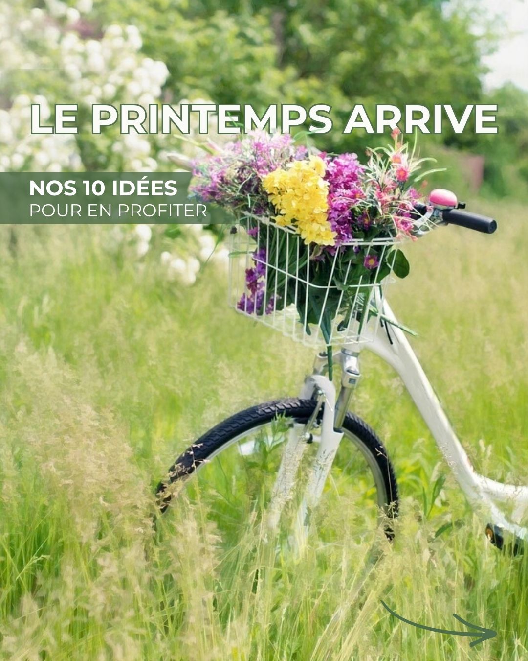 10 idées pour le printemps avec un vélo et des fleurs