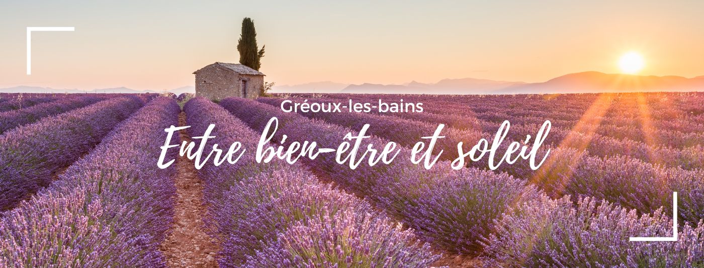 Champs de lavande près de Gréoux-lès-bains et notre résidence Côté Provence